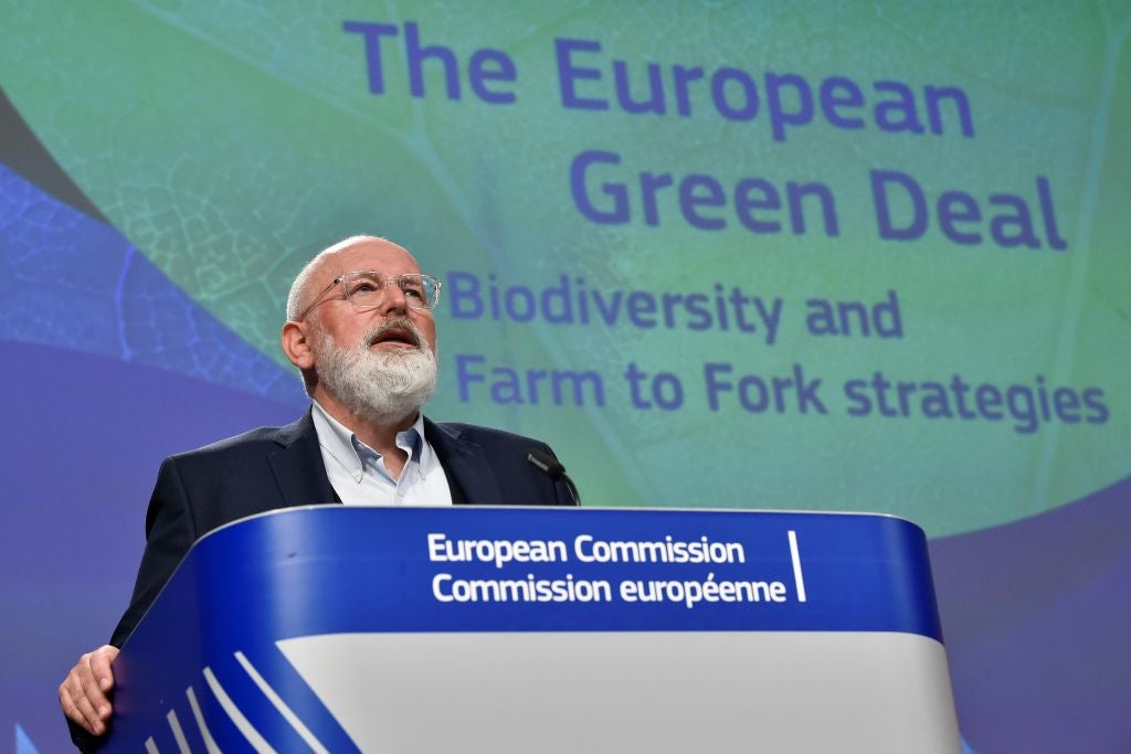 EU Green Deal: Knock-off or pioneer?