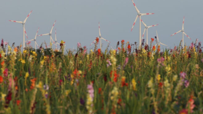 wind-turbines-Germany