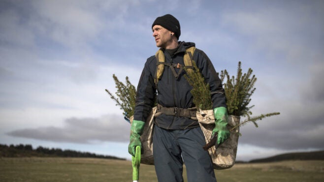 forestry-worker-carries-baby-spruce-to-plant
