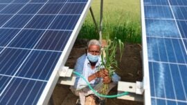 India's plans for global solar domination