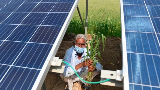 farmer-looking-up-surrounded-by-solar-panels