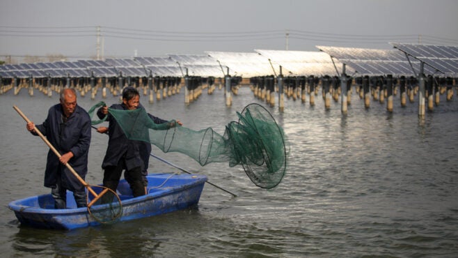 fishermen-casting-a-net-next-to-PV-panels-over-fish-ponds