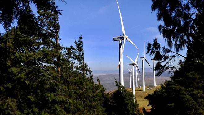 wind-turbines-viewed-from-trees