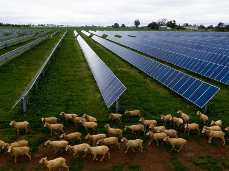 The farmers profiting from the solar power boom