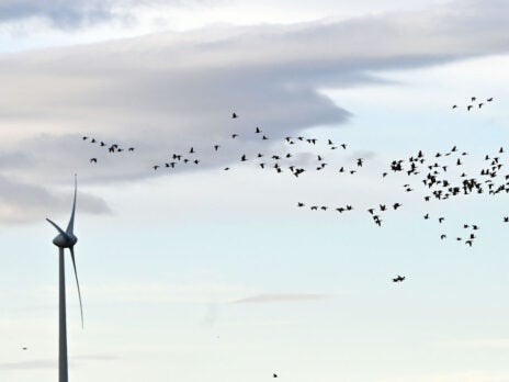Can renewables avoid damaging natural habitats? Can renewables avoid damaging natural habitats?