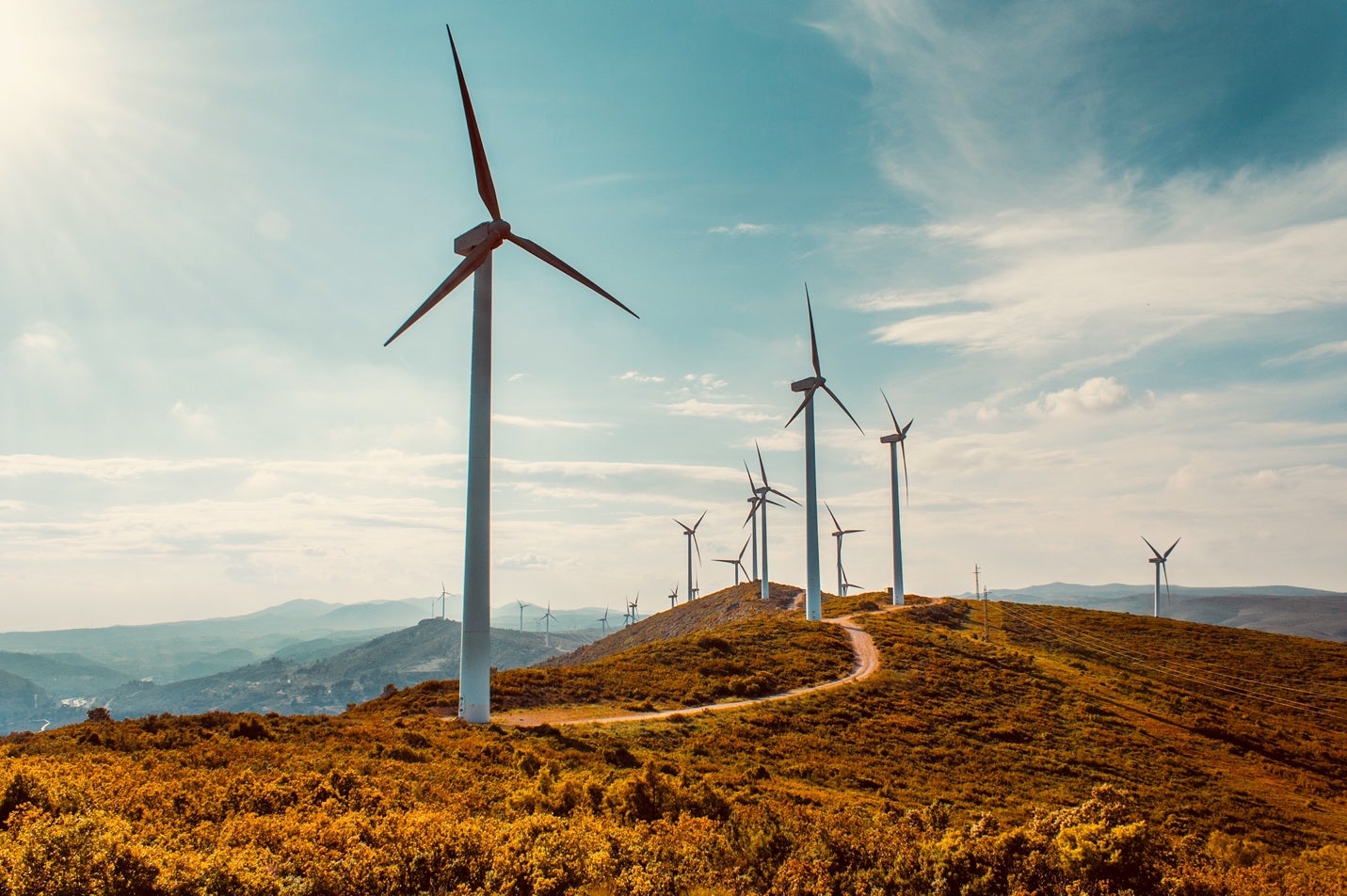 A group of wind turbines
Description automatically generated with low confidence
