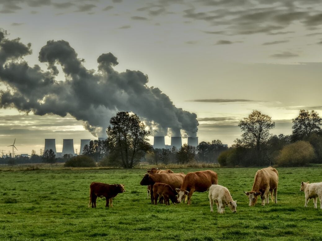 Climate crisis and food prices - Cows in field against emissions backdrop