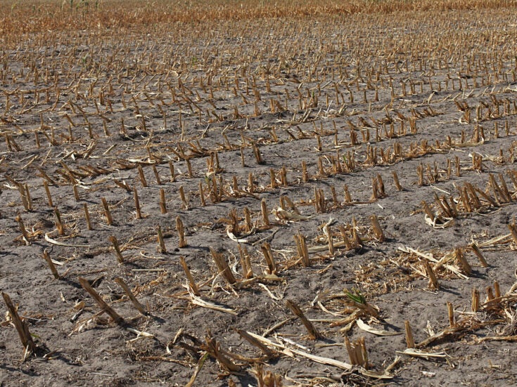 Climate change and extreme weather events hang heavy over global breadbasket countries Climate change and extreme weather events hang heavy over global breadbasket countries