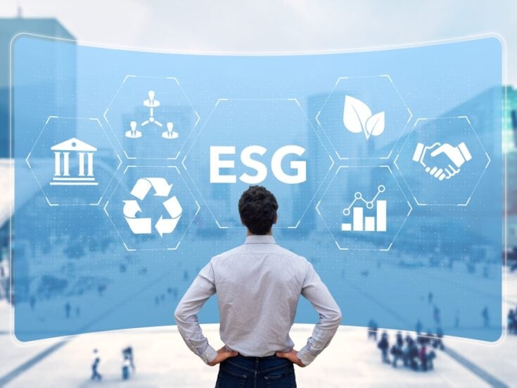 Opinion: Embracing ESG can be bad for business Opinion: Embracing ESG can be bad for business