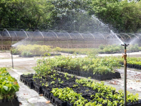 The mission to mend the voluntary carbon offset market The mission to mend the voluntary carbon offset market