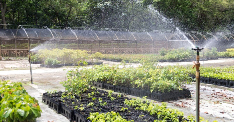 The mission to mend the voluntary carbon offset market - Vimarsana News