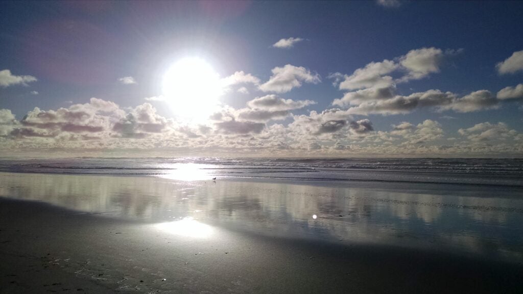 Port of Humboldt Bay