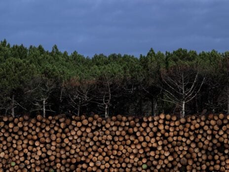 Net zero could drive up the global demand for timber, putting at risk the world’s forests