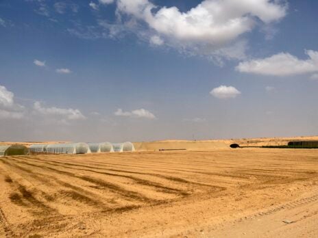 Adaptation lessons from Israel's Negev Desert: A source of climate hope