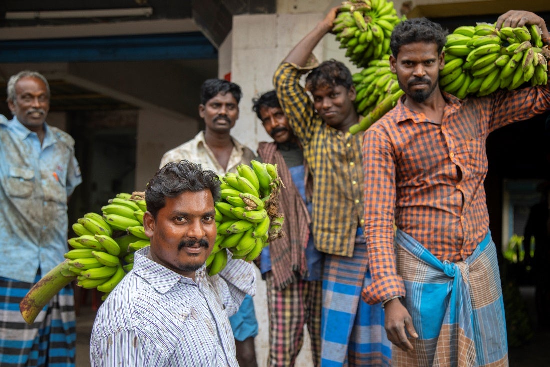 Cool bananas: Efficient cold chain technology for a clean agriculture boom