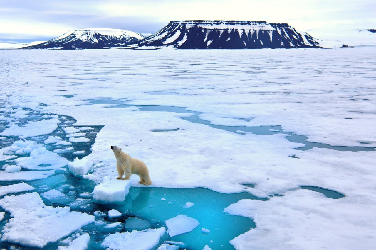 Arctic Glacier - Block Ice - Save-On-Foods