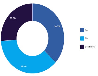 Chart: Does your company have an ESG strategy?