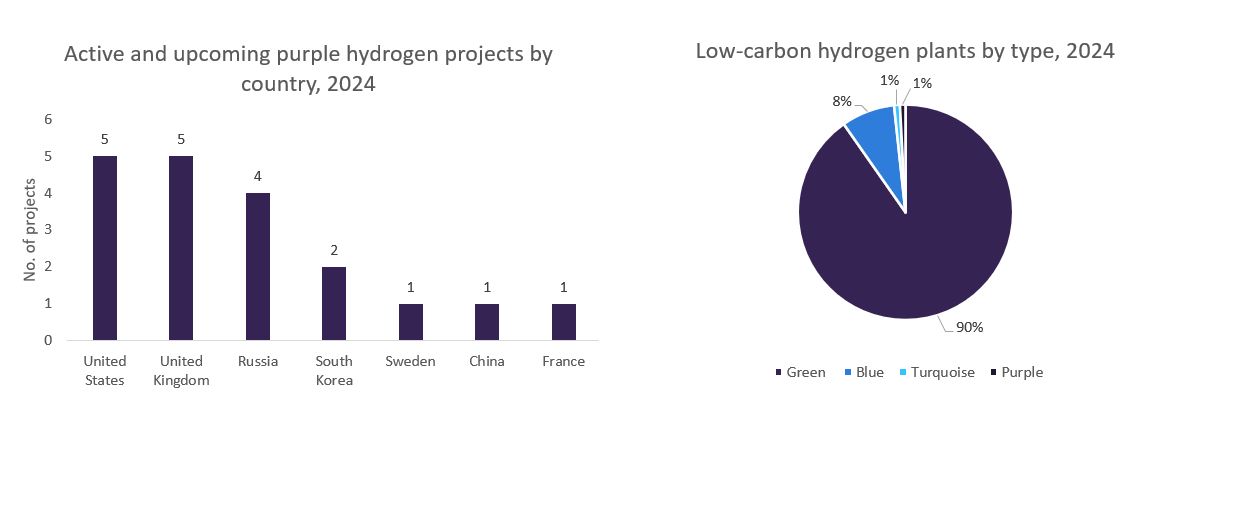 Purple hydrogen: is nuclear back on the rise? - Energy Monitor