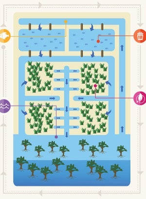 Masdar Masdar