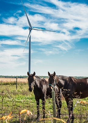 wind farm