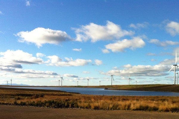 Whitelee