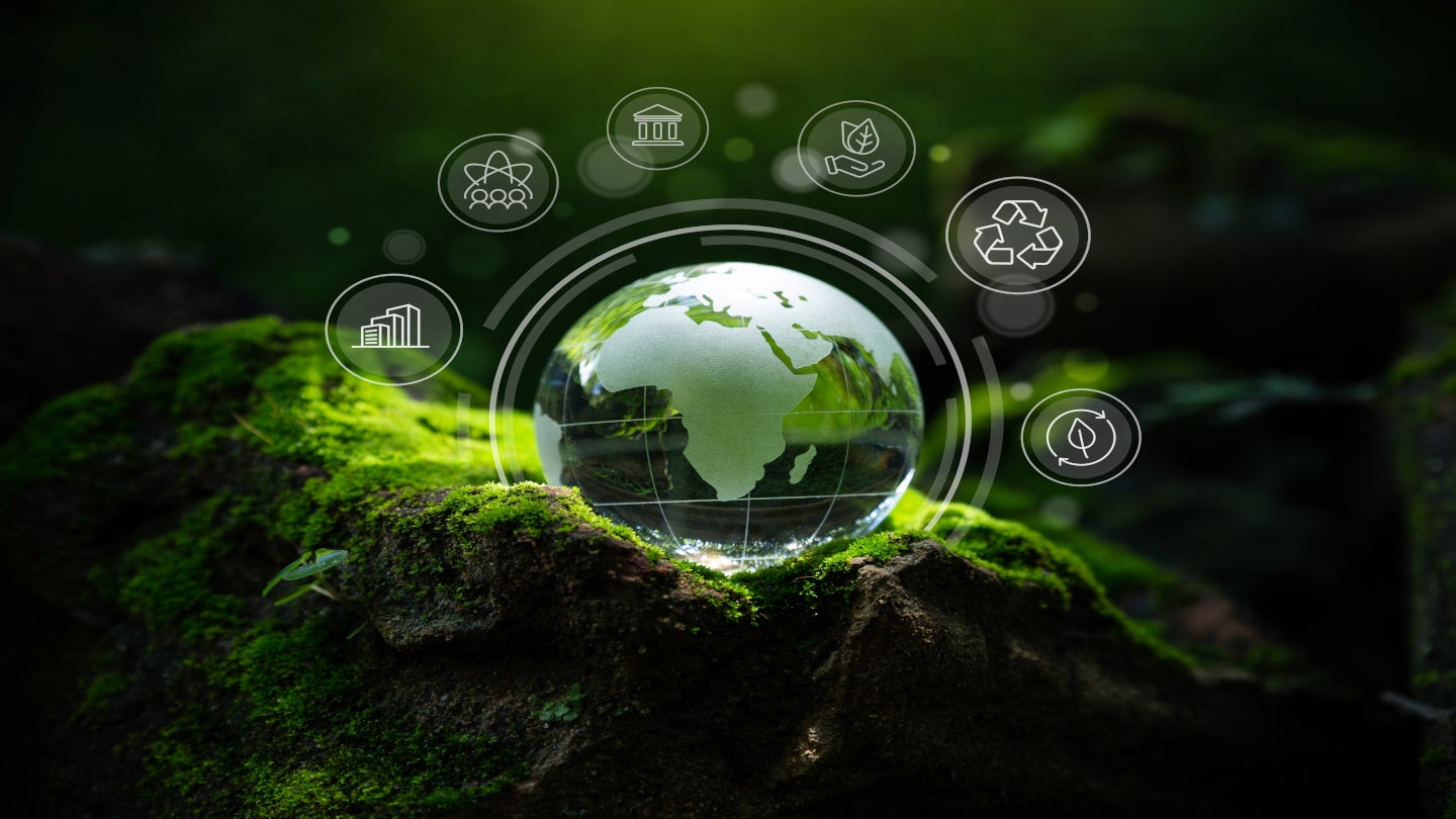Climate adaptation investments could yield high returns: WRI study