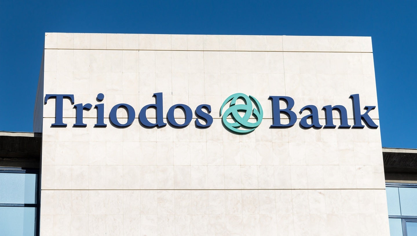 Triodos Bank plans to finance 275 energy transition projects by 2030