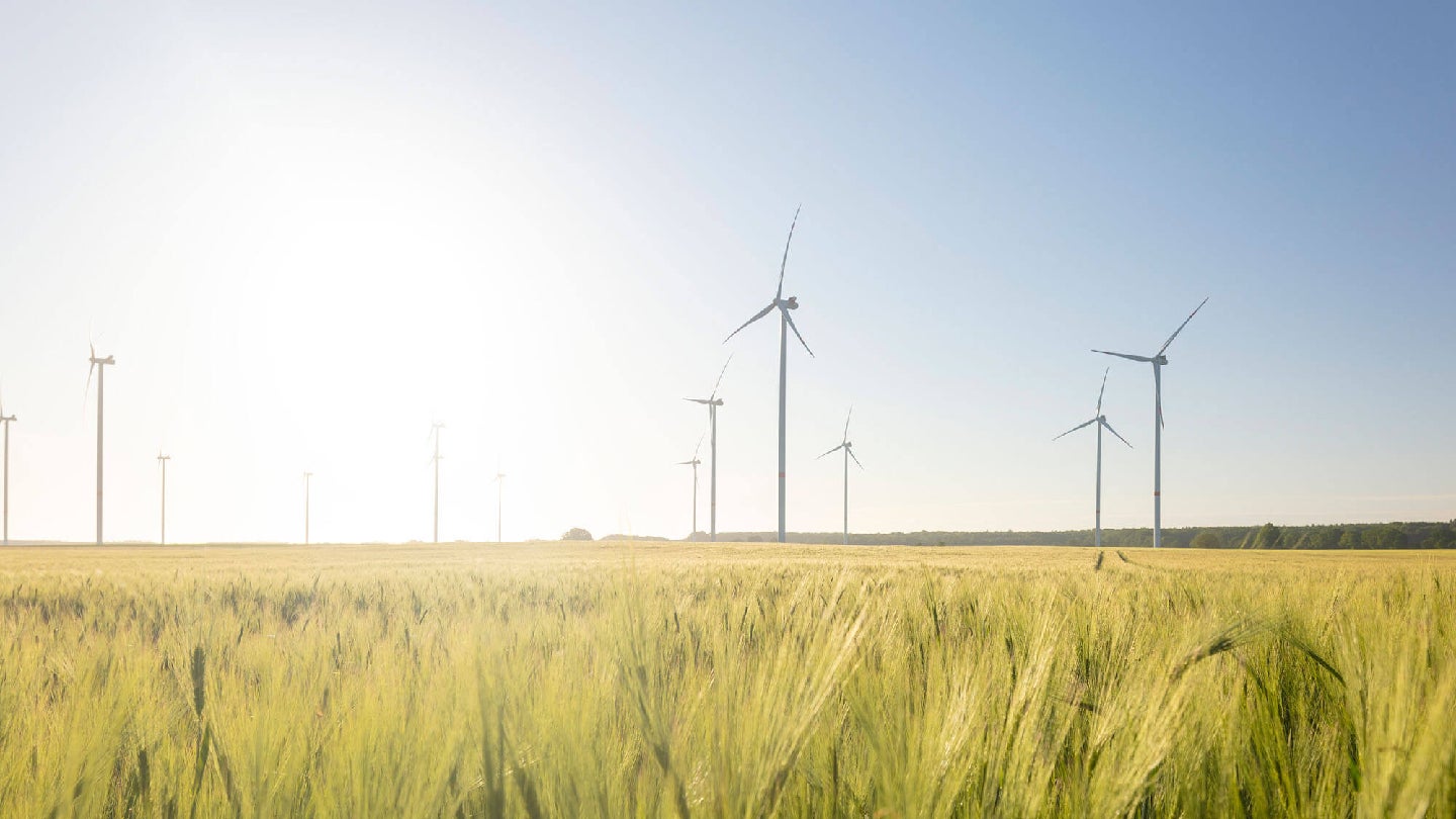 Blue Elephant Energy to acquire 381MW wind portfolio in Germany